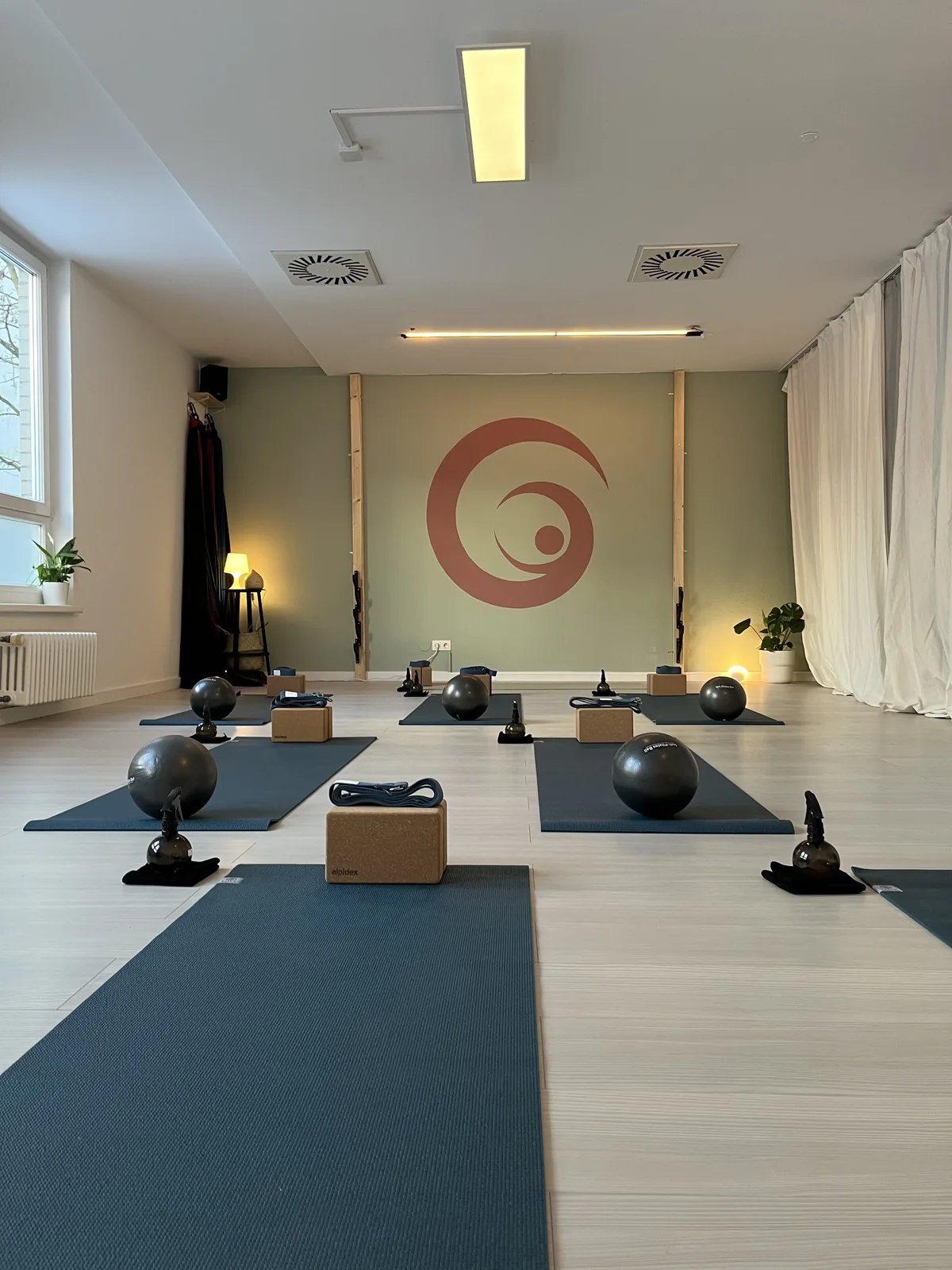 Mat room with pilates balls and the Lyra spiral on the wall
